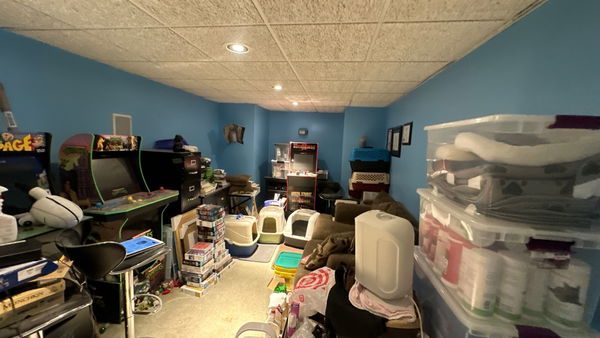 Edison basement remodeling for game room — gallery image 18