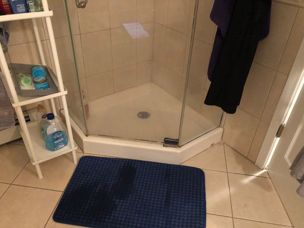 Berkeley Heights master bathroom renovation — gallery image 2