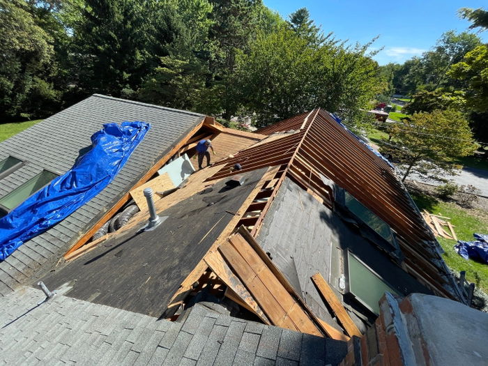 Whole Home Renovations — recent work